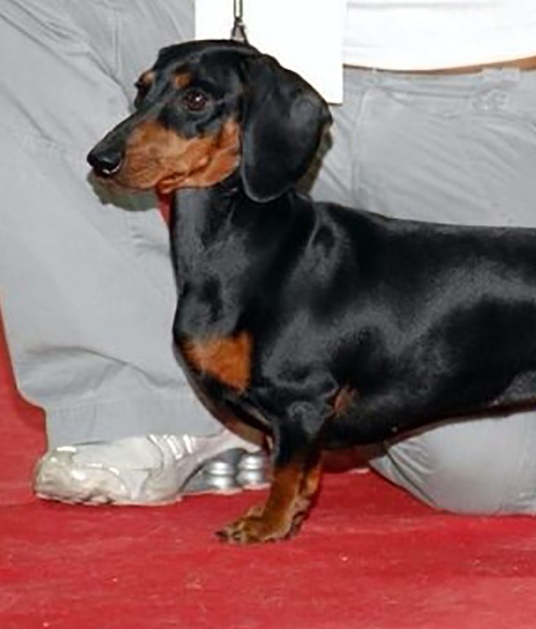 Giuditta