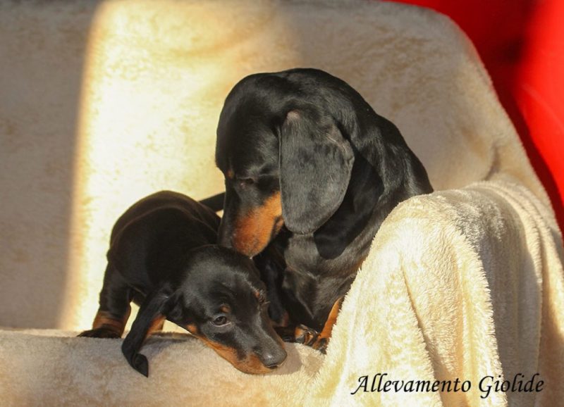Jackie’O e il piccolo Quentin