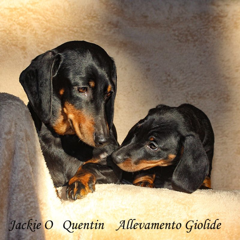 Jackie’O e il piccolo Quentin