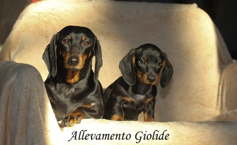 Jackie’O e il piccolo Quentin