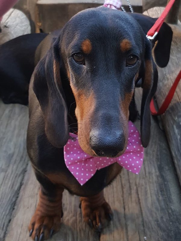 Madam Lilly