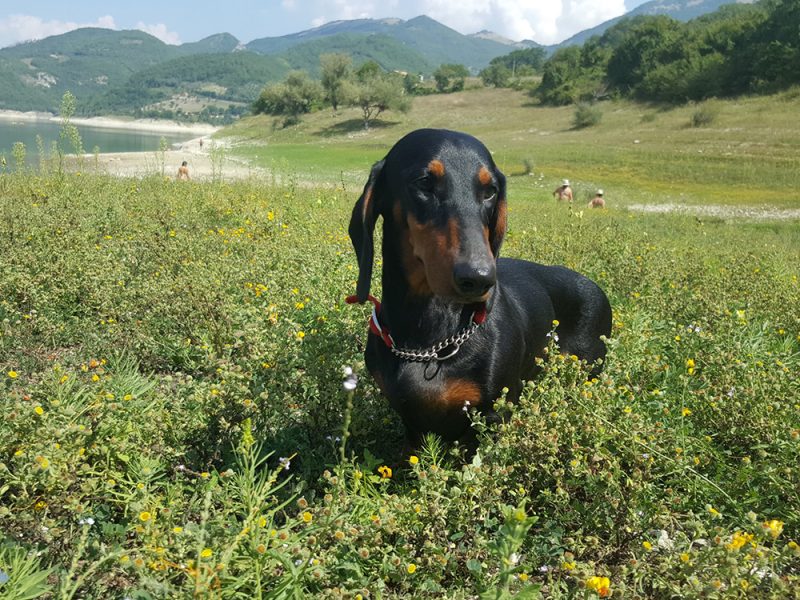 Madam Lilly