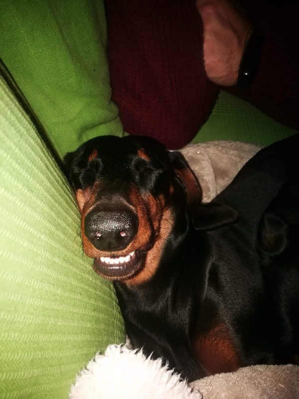 Madam Lilly