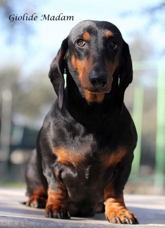 Madam Lilly