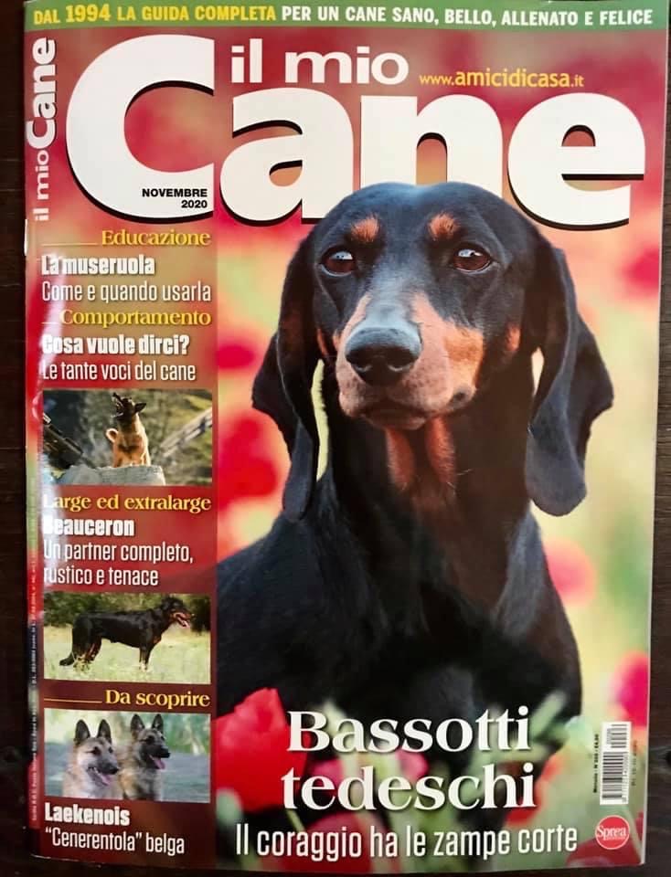 Il Mio Cane