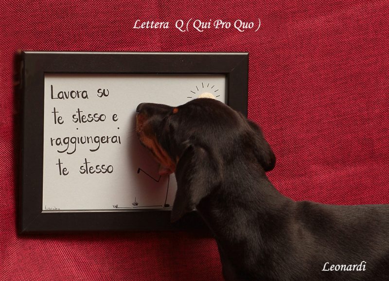 LEON0170