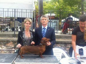 Giolide Kougar - IDS Cingoli