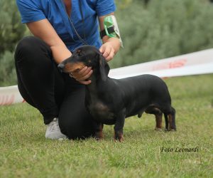 Giolide Pai Pan - Raduno Roma Settembre 2019