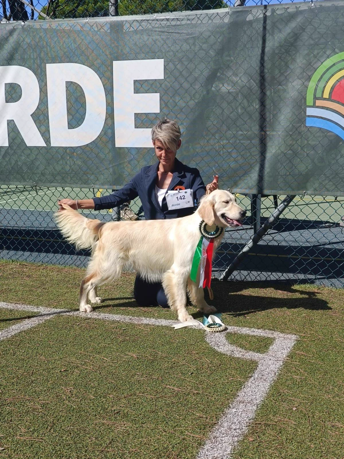 Shivà Golden Così è (Aka MAZE) - Femmina di Golden Retriever