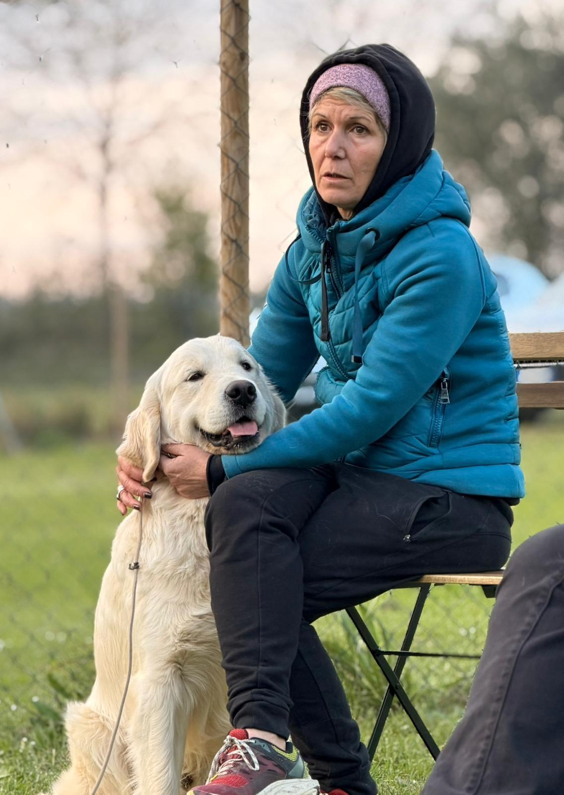 Terra di Siena It Start Whit Us (Aka KAOS) - Maschio di Golden Retriever