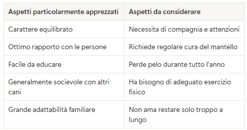 Perché scegliere un Golden Retriever?